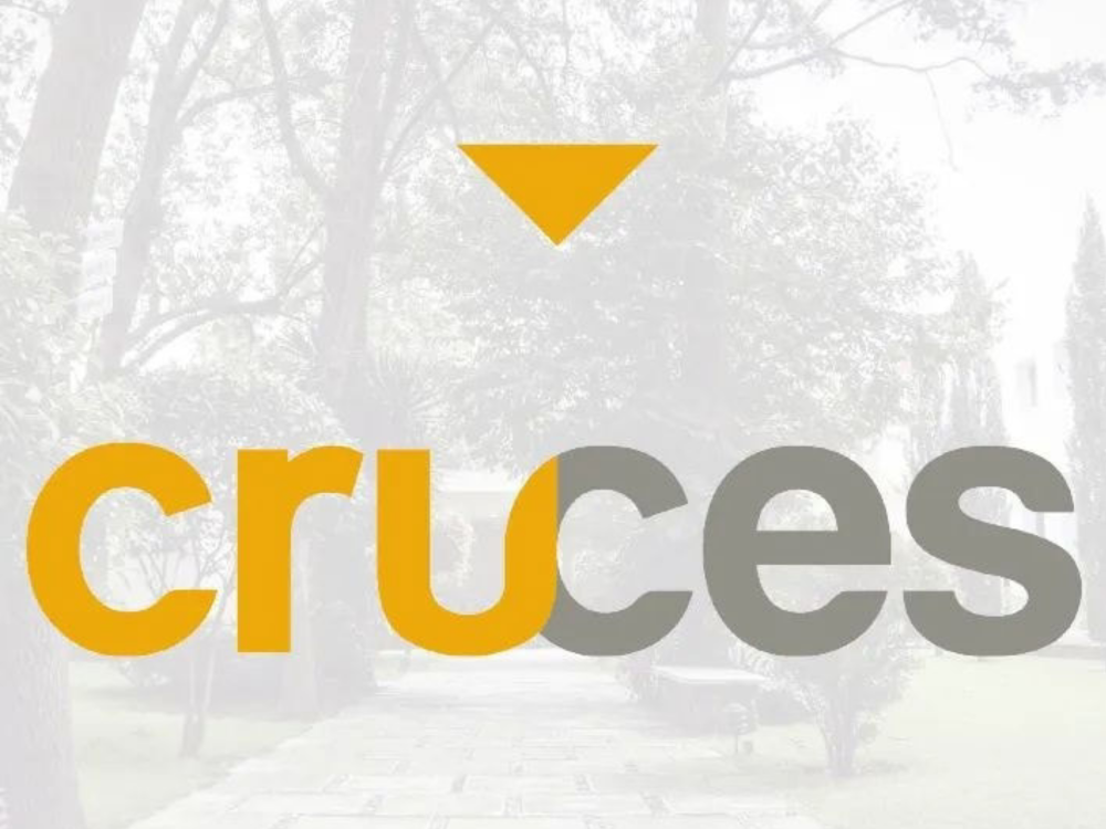 Proyecto Cruces